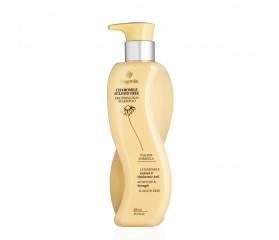 Шампунь для волосся з ромашкою Chamomile Sulfate Free Professional Shampoo Bogenia BG461 №001
